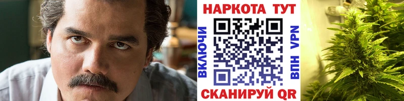 ГАШИШ Заринск