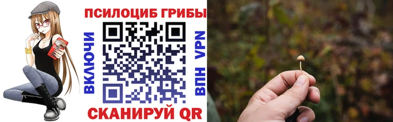 Псилоцибиновые грибы Psilocybine cubensis  площадка какой сайт  Заринск 